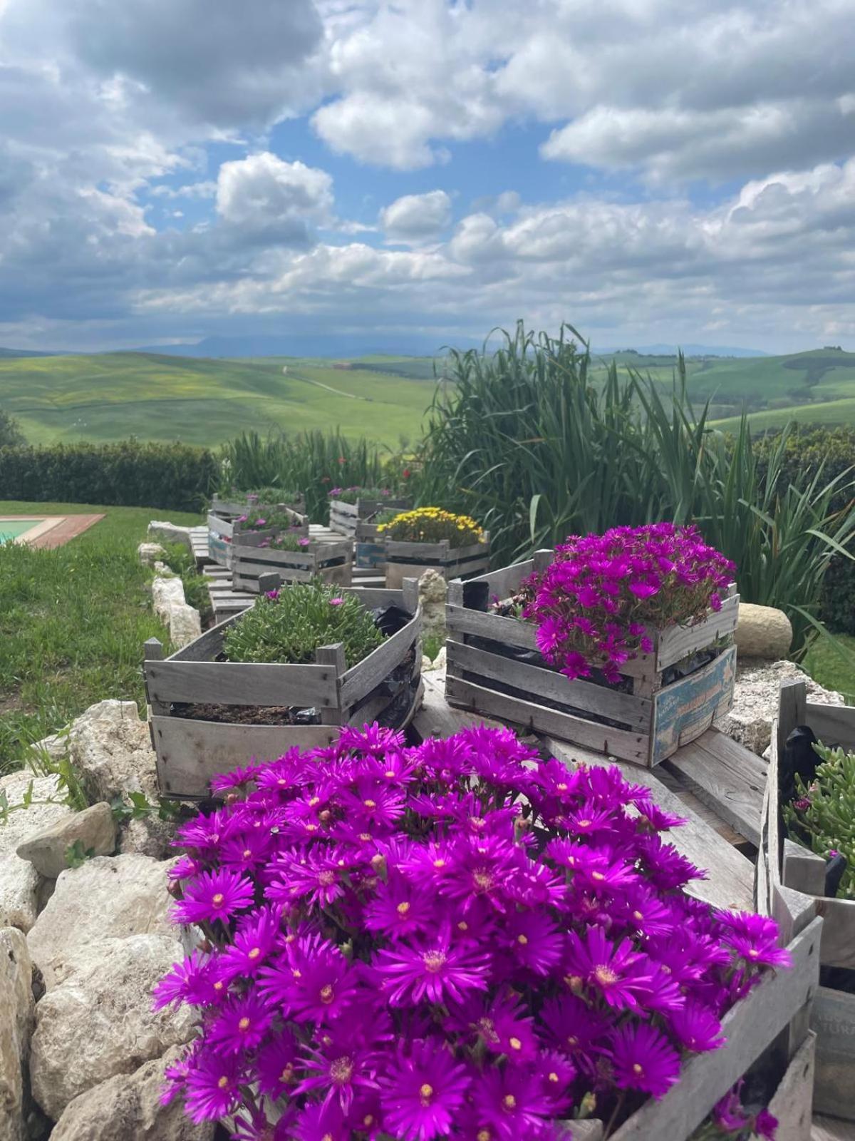 Agriturismo Bombina Montisi Εξωτερικό φωτογραφία